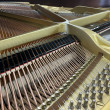 1982 Yamaha C5 Conservatory Grand, American Walnut - Grand Pianos